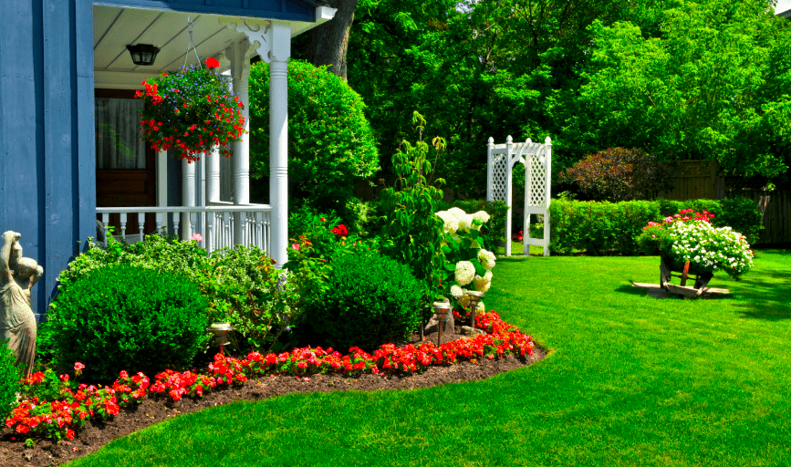 SOFTSCAPE SERVICES